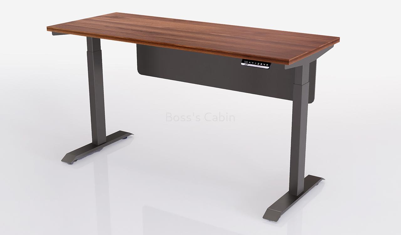 ‘Up-One’ 5 Feet Motorized Sit Stand Desk In Walnut Laminate