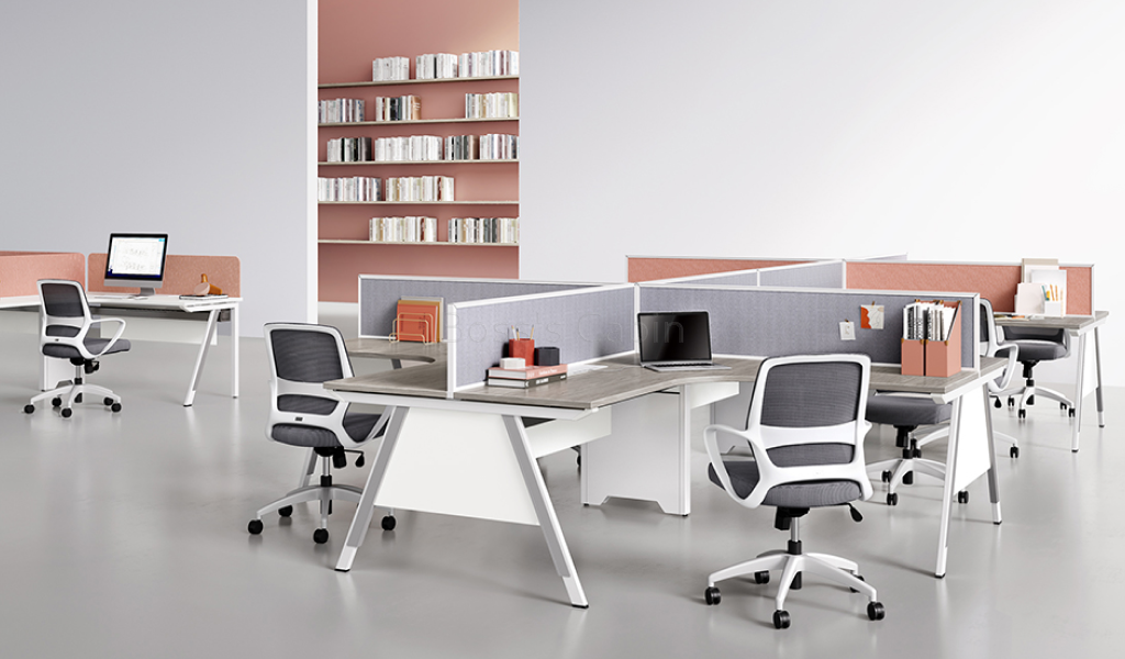 Lido Workstation System