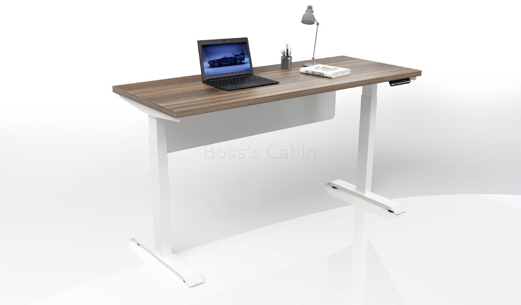 ‘Up-One’ 4 Feet Motorized Sit Stand Office Desk With Cass Walnut Top