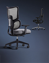 Ergonomic Chairs